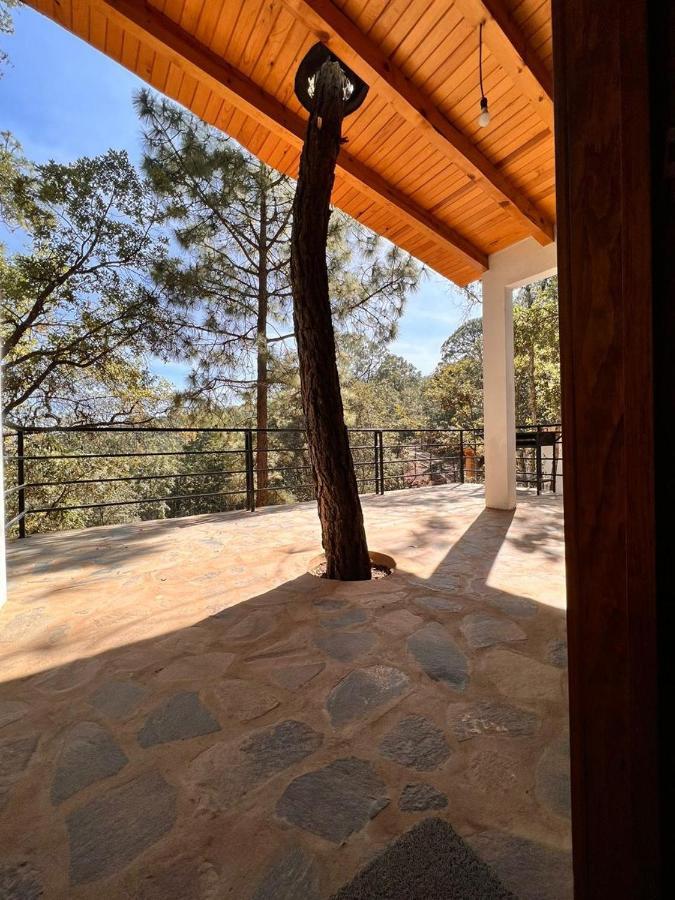 Cabana "Alexa", En El Corazon Del Bosque De Mazamitla Kültér fotó